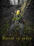 Forest In Peace