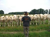 Follow the Leader Oiginal