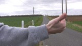 Les auto-stoppeurs