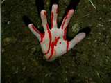 tueur