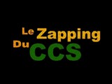 zappingduccs